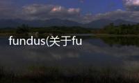 fundus(關于fundus簡述)