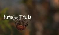 fufs(關于fufs簡述)