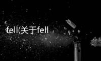 fell(關于fell簡述)