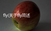 fly(關于fly簡述)