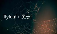 flyleaf（關于flyleaf的基本情況說明介紹）