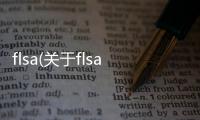 flsa(關于flsa簡述)