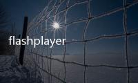 flashplayer是啥（FlashPlayer是做什么用的）