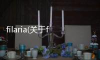 filaria(關(guān)于filaria簡述)