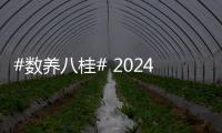 #數養八桂# 2024年廣西全民數字素養與技能提升月啟動儀式