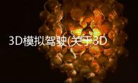 3D模擬駕駛(關于3D模擬駕駛簡述)