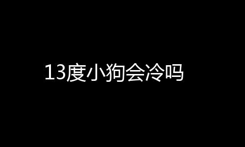 13度小狗會冷嗎