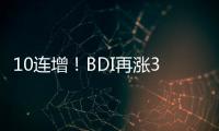 10連增！BDI再漲3點報325點