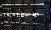 10月30日鵬華中證500指數(LOF)C凈值上漲0.93%