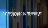 10斤狗狗拉拉每天吃多少錢