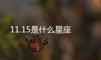 11.15是什么星座