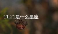 11.21是什么星座 11.21是什么座