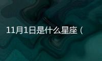 11月1日是什么星座（11月什么星座）