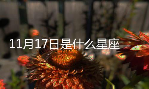 11月17日是什么星座 陽歷11月17號是什么星座