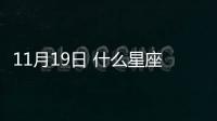 11月19日 什么星座（11月19什么星座）