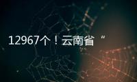 12967個！云南省“誠信經營 放心消費”創建成效喜人