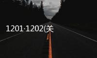 1201·1202(關于1201·1202簡述)