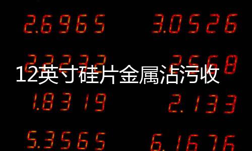 12英寸硅片金屬沾污收集及等離子體質譜分析系統中標結果公告