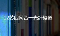 12芯四網合一光纖樓道箱帶合格證