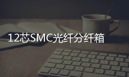 12芯SMC光纖分纖箱【產品描述信息 】