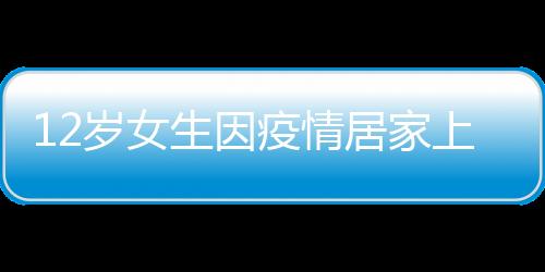 12歲女生因疫情居家上網課 為偷玩手機畫模型躲監控