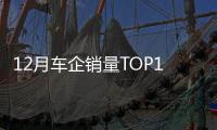 12月車企銷量TOP15：特斯拉破7萬輛奪得亞軍