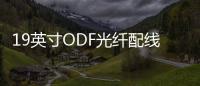 19英寸ODF光纖配線架12芯ODF配線架【內(nèi)部?jī)r(jià)格】