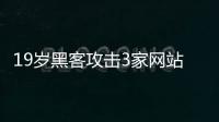 19歲黑客攻擊3家網站敲詐5.5萬