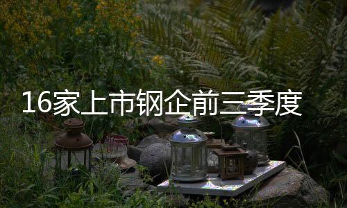 16家上市鋼企前三季度半數首虧