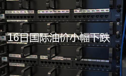 16日國際油價小幅下跌收于每桶86.65美元