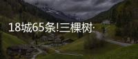 18城65條!三棵樹(shù)·大禹九鼎地鐵項(xiàng)目戰(zhàn)報(bào)頻傳!