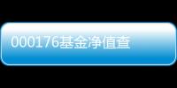 000176基金凈值查詢今天最新凈值百度