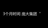 3個月時間 龐大集團“甩賣”14家子公司