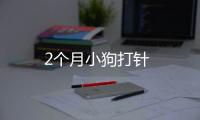 2個月小狗打針