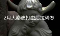 2月大泰迪打蟲后拉稀怎么辦(小泰迪打蟲拉出長白蟲)