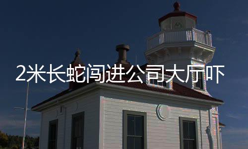 2米長(zhǎng)蛇闖進(jìn)公司大廳嚇跑員工，前兩天剛來過