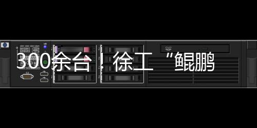 300余臺！徐工“鯤鵬”叉車批量發車