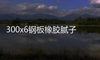 300x6鋼板橡膠膩?zhàn)又顾畮r格標(biāo)準(zhǔn)