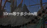 30cm等于多少dm用分數表示 30cm等同于多少dm