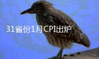 31省份1月CPI出爐