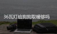 36瓦燈給狗狗取暖夠嗎