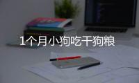 1個月小狗吃干狗糧