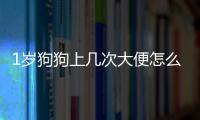 1歲狗狗上幾次大便怎么回事