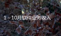 1～10月軟件業務收入同比增長20.3%%