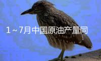 1～7月中國原油產量同比增長2.8％