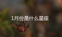 1月份是什么星座