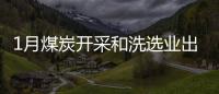 1月煤炭開采和洗選業(yè)出廠價格同比上漲9.1%