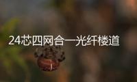 24芯四網(wǎng)合一光纖樓道箱