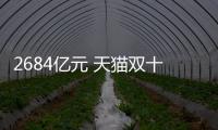 2684億元 天貓雙十一成交額背后引發的思考！