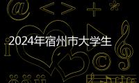 2024年宿州市大學生暑期“三下鄉(xiāng)”社會實踐暨青年人才家鄉(xiāng)行活動啟動